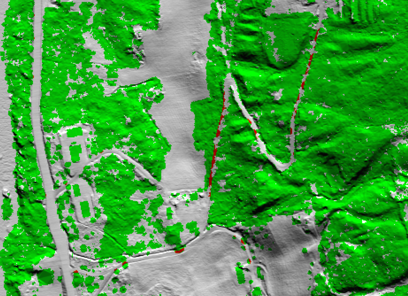 Result of automatic detection of overhanging vegetation along roads. Green: vegetation (and also buildings) higher than 1 m outside of roads. Red: vegetation higher than 1 m overlapping roads. White: No vegetation higher than 1 m.